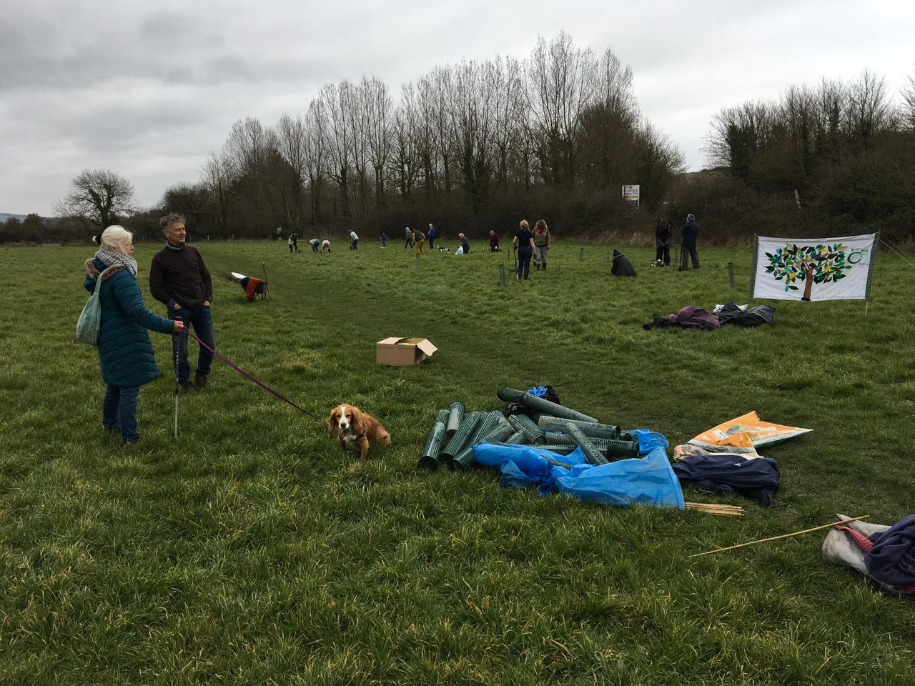 Corncrake Tree planting